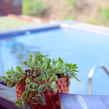 Waterrock Stays The Mango Tree Chalet Pune Extérieur photo